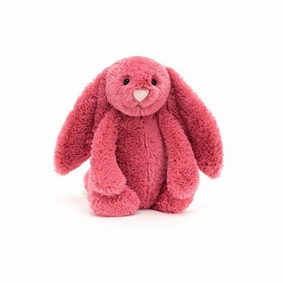 Jellycat Bashful Cerise Conejo | PRML-61342